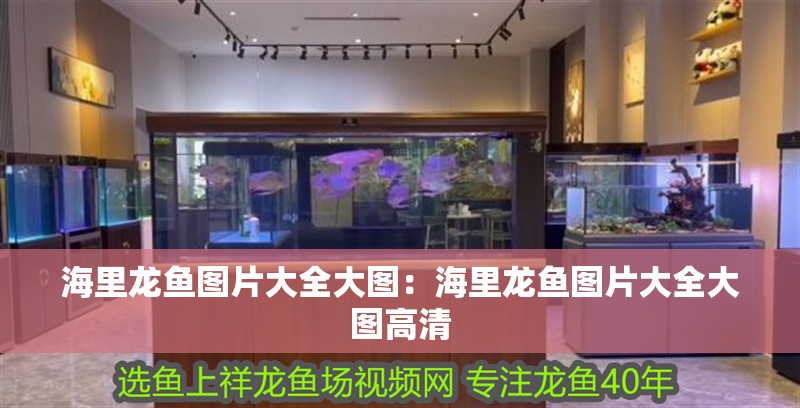 海里龍魚圖片大全大圖：海里龍魚圖片大全大圖高清 海里龍魚圖片大全大圖：海里龍魚圖片大全大圖高清 水族問答