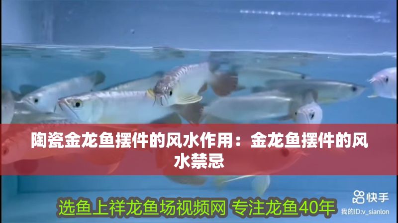 陶瓷金龍魚擺件的風(fēng)水作用：金龍魚擺件的風(fēng)水禁忌