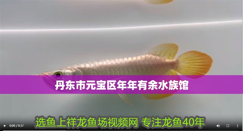 丹東市元寶區(qū)年年有余水族館
