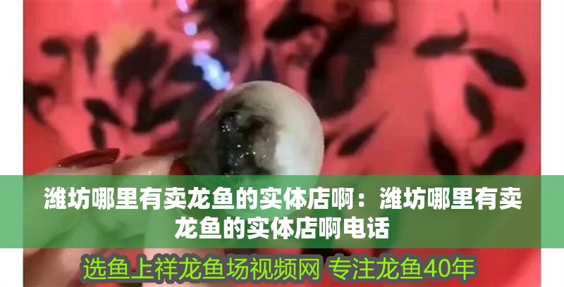 濰坊哪里有賣龍魚的實體店啊：濰坊哪里有賣龍魚的實體店啊電話