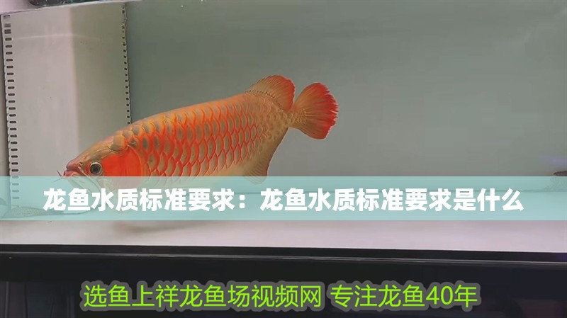 龍魚水質標準要求：龍魚水質標準要求是什么