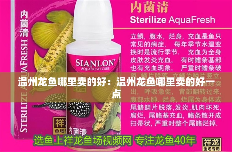 溫州龍魚哪里賣的好：溫州龍魚哪里賣的好一點