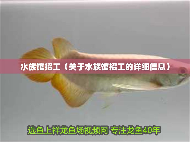 水族館招工（關(guān)于水族館招工的詳細(xì)信息）