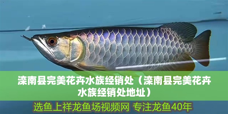 灤南縣完美花卉水族經銷處（灤南縣完美花卉水族經銷處地址）