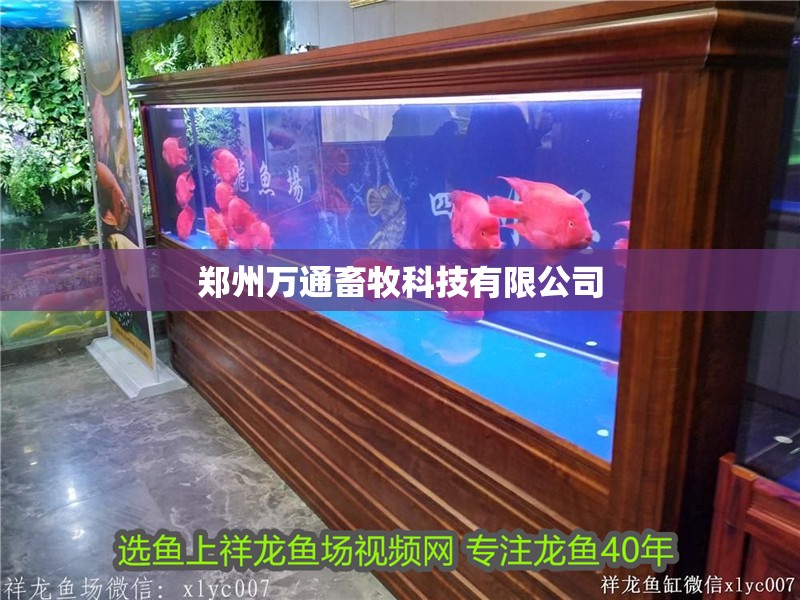 鄭州萬(wàn)通畜牧科技有限公司