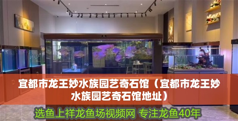 宜都市龍王妙水族園藝奇石館（宜都市龍王妙水族園藝奇石館地址） 宜都市龍王妙水族園藝奇石館（宜都市龍王妙水族園藝奇石館地址） 全國水族館企業名錄 第1張