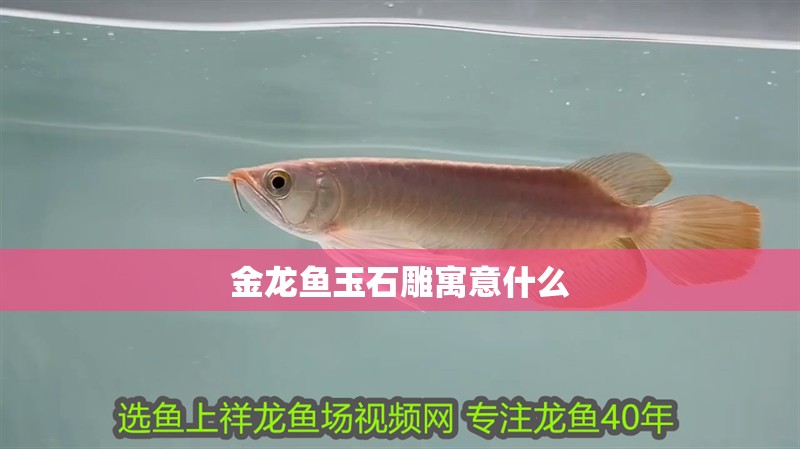 金龍魚玉石雕寓意什么