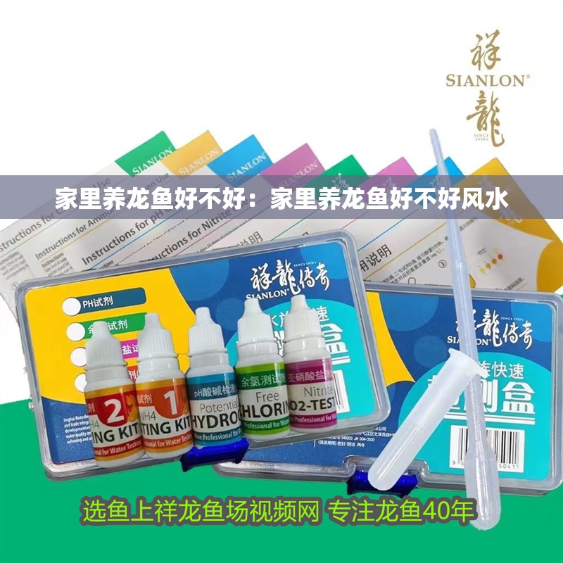 家里養龍魚好不好：家里養龍魚好不好風水