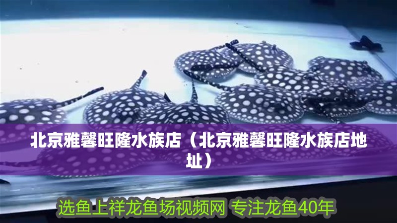 北京雅馨旺隆水族店（北京雅馨旺隆水族店地址）