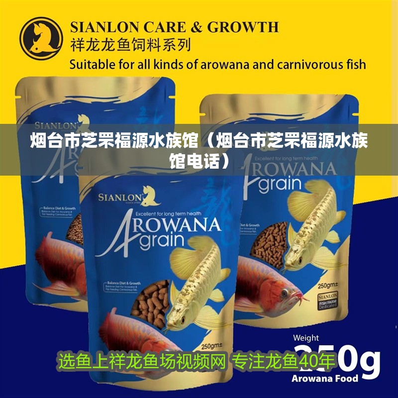 煙臺市芝罘福源水族館（煙臺市芝罘福源水族館電話）