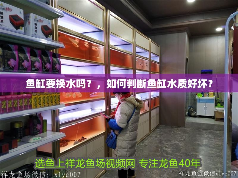 魚缸要換水嗎？，如何判斷魚缸水質好壞？ 魚缸要換水嗎？，如何判斷魚缸水質好壞？ 魚缸百科 第2張