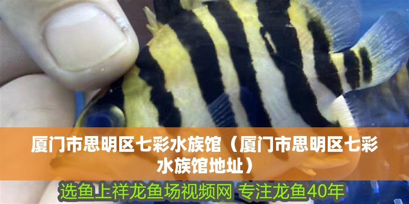 廈門市思明區七彩水族館（廈門市思明區七彩水族館地址）