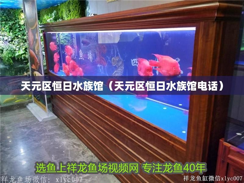 天元區(qū)恒日水族館（天元區(qū)恒日水族館電話）