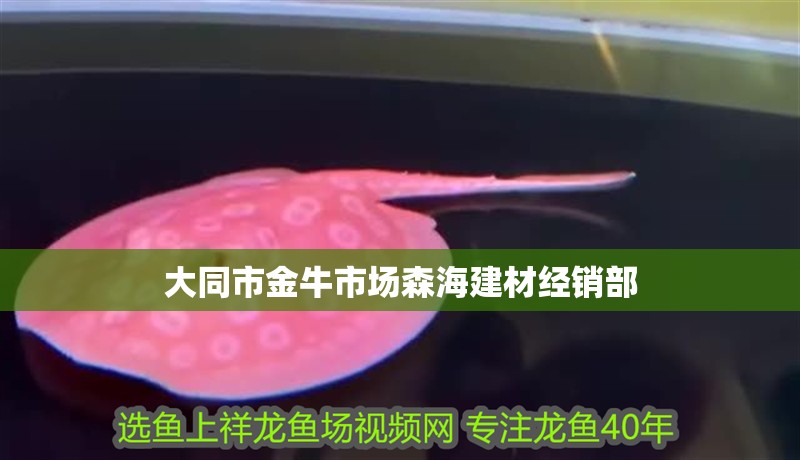 大同市金牛市場森海建材經(jīng)銷部