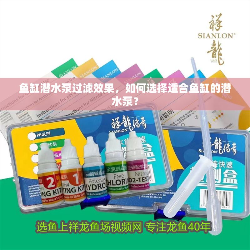 魚缸潛水泵過濾效果，如何選擇適合魚缸的潛水泵？