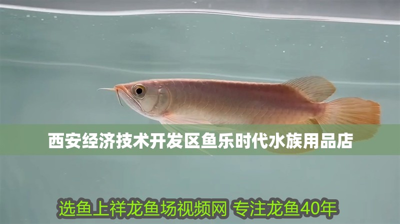 西安經濟技術開發區魚樂時代水族用品店