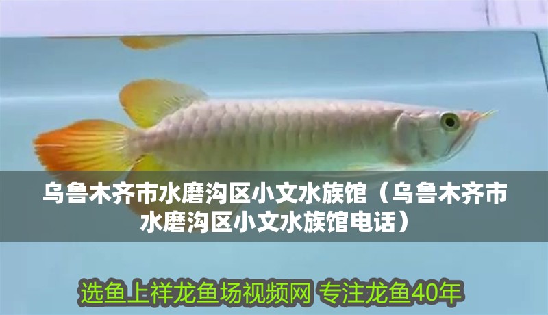烏魯木齊市水磨溝區(qū)小文水族館（烏魯木齊市水磨溝區(qū)小文水族館電話(huà)）