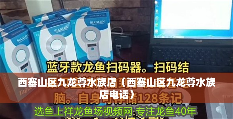 西塞山區(qū)九龍尊水族店（西塞山區(qū)九龍尊水族店電話）