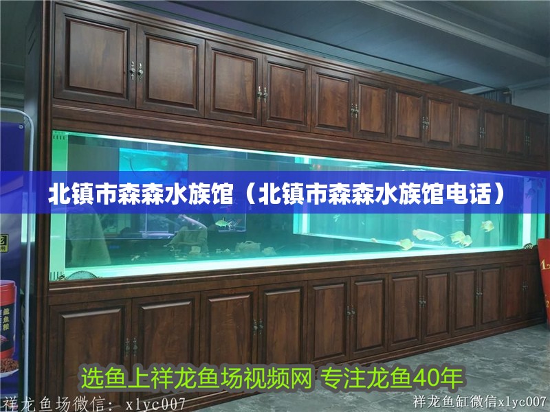 北鎮(zhèn)市森森水族館（北鎮(zhèn)市森森水族館電話）