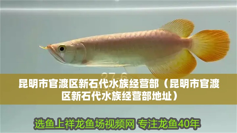 昆明市官渡區新石代水族經營部（昆明市官渡區新石代水族經營部地址）