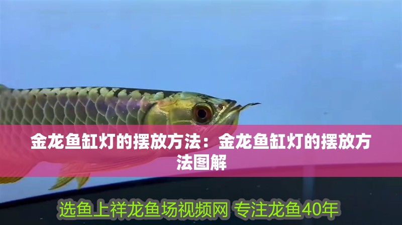 金龍魚(yú)缸燈的擺放方法：金龍魚(yú)缸燈的擺放方法圖解 金龍魚(yú)缸燈的擺放方法：金龍魚(yú)缸燈的擺放方法圖解 水族問(wèn)答