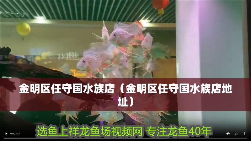 金明區任守國水族店（金明區任守國水族店地址）