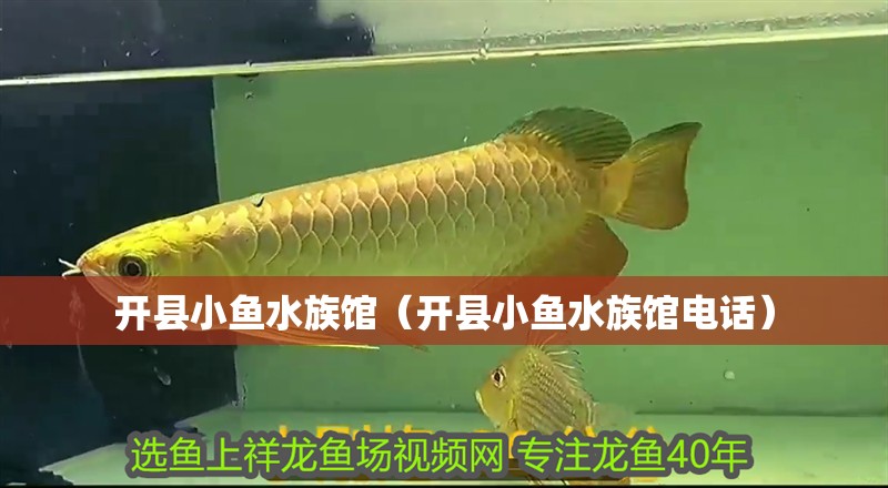 開縣小魚水族館（開縣小魚水族館電話）