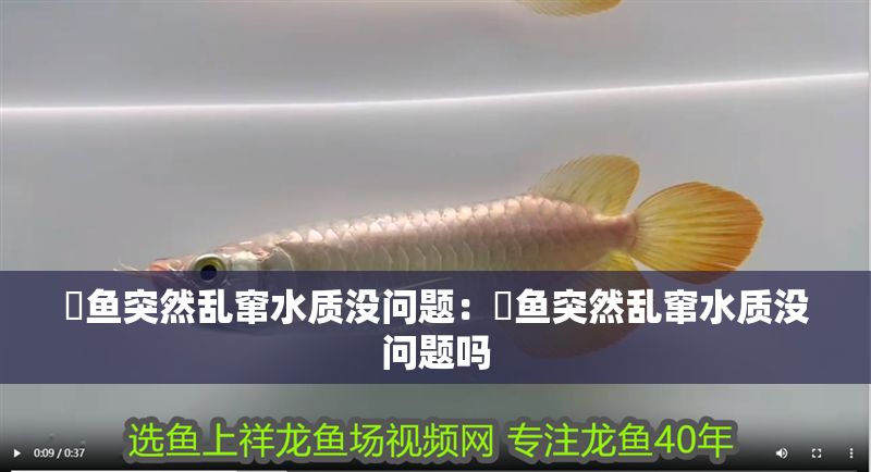 魟魚突然亂竄水質沒問題：魟魚突然亂竄水質沒問題嗎