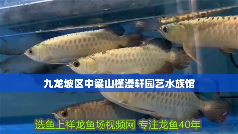 九龍坡區(qū)中梁山槿漫軒園藝水族館