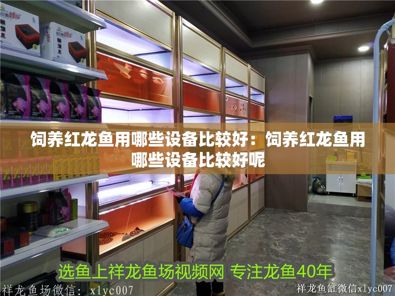 飼養紅龍魚用哪些設備比較好：飼養紅龍魚用哪些設備比較好呢