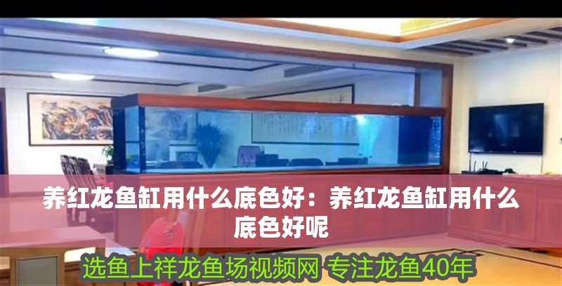 玻璃生態(tài)魚缸：如何選購合適的玻璃生態(tài)魚缸