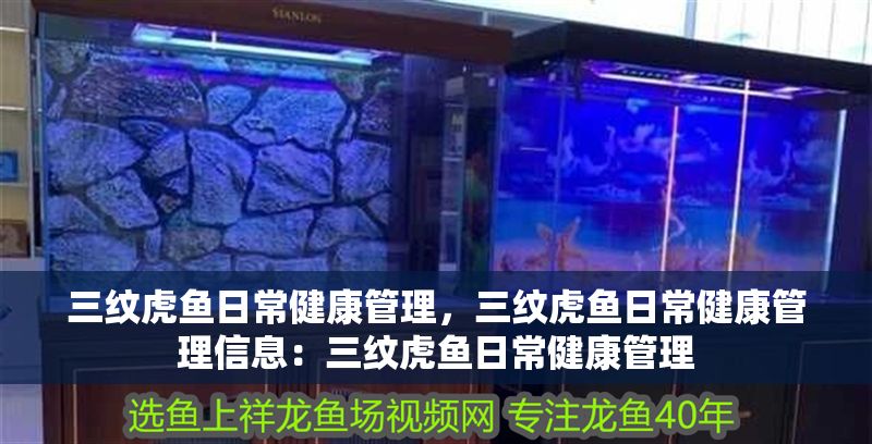 三紋虎魚日常健康管理，三紋虎魚日常健康管理信息：三紋虎魚日常健康管理 三紋虎魚日常健康管理，三紋虎魚日常健康管理信息：三紋虎魚日常健康管理 虎魚百科 第2張