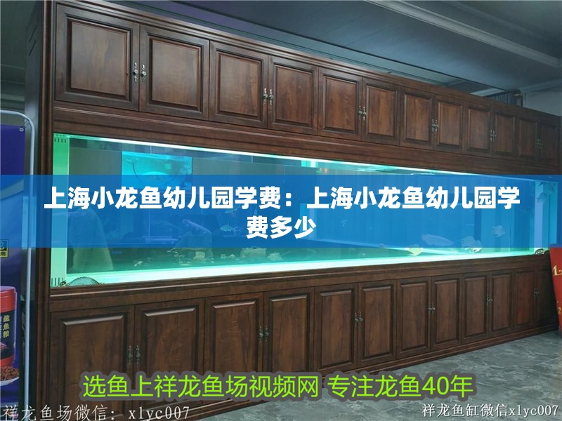 上海小龍魚幼兒園學費:上海小龍魚幼兒園學費多少 水族問答 上海小龍魚幼兒園學費:上海小龍魚幼兒園學費多少 上海小龍魚幼兒園學費:上海小龍魚幼兒園學費多少 水族問答