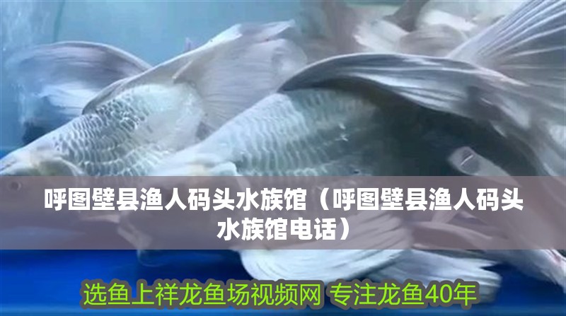 呼圖壁縣漁人碼頭水族館（呼圖壁縣漁人碼頭水族館電話） 呼圖壁縣漁人碼頭水族館（呼圖壁縣漁人碼頭水族館電話） 全國水族館企業名錄 第1張