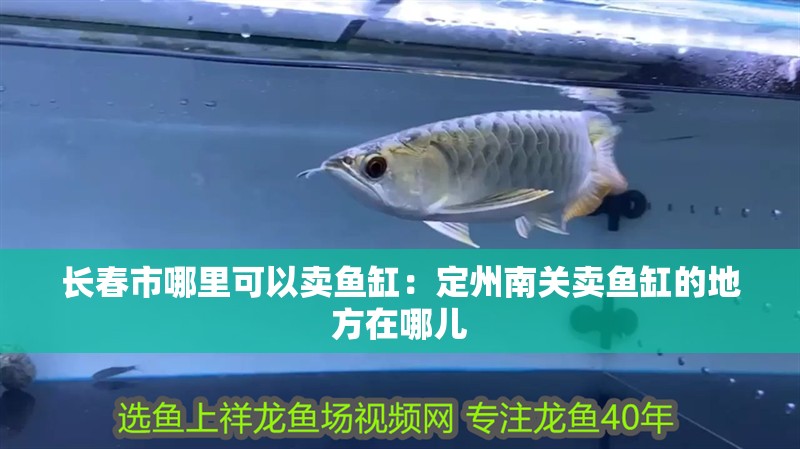 長春市哪里可以賣魚缸：定州南關賣魚缸的地方在哪兒