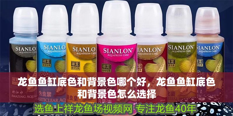 龍魚魚缸底色和背景色哪個好，龍魚魚缸底色和背景色怎么選擇