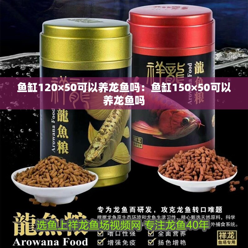 紅龍魚蒙眼用青霉素膠囊行不行呀：治療龍魚蒙眼病的常見原因