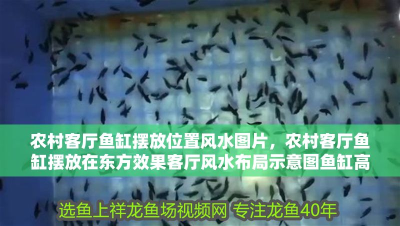 農(nóng)村客廳魚缸擺放位置風(fēng)水圖片，農(nóng)村客廳魚缸擺放在東方效果客廳風(fēng)水布局示意圖魚缸高度風(fēng)水講究 農(nóng)村客廳魚缸擺放位置風(fēng)水圖片，農(nóng)村客廳魚缸擺放在東方效果客廳風(fēng)水布局示意圖魚缸高度風(fēng)水講究 魚缸百科 第2張