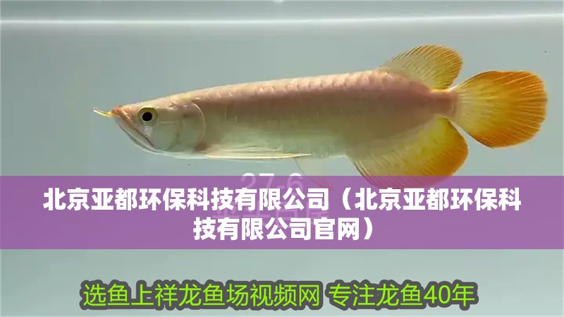 北京亞都環保科技有限公司（北京亞都環保科技有限公司官網） 北京亞都環保科技有限公司（北京亞都環保科技有限公司官網） 全國水族館企業名錄 第1張