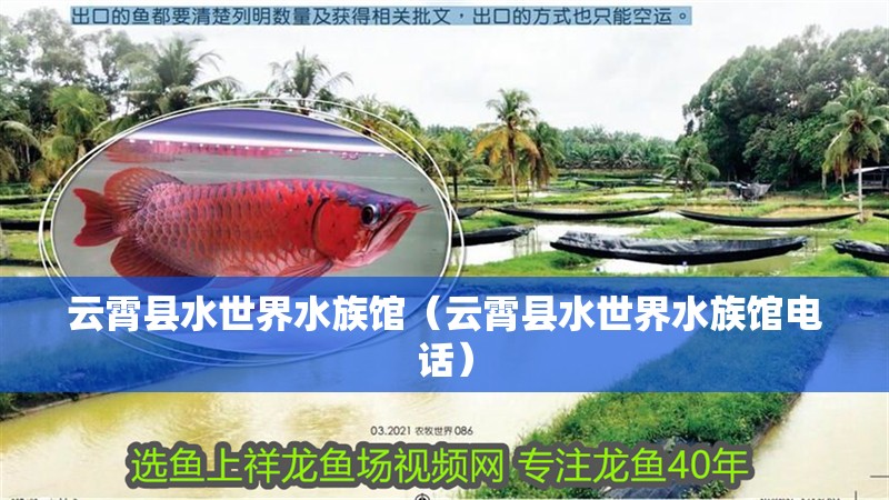 云霄縣水世界水族館（云霄縣水世界水族館電話(huà)）