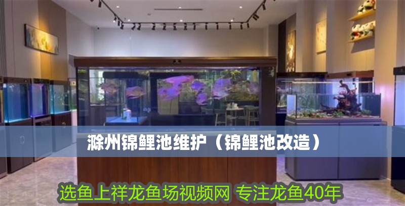 滁州錦鯉池維護（錦鯉池改造）