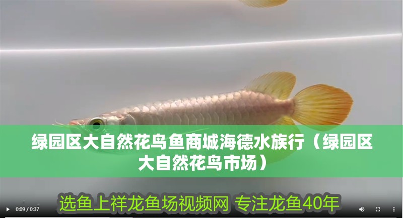 綠園區大自然花鳥魚商城海德水族行（綠園區大自然花鳥市場）