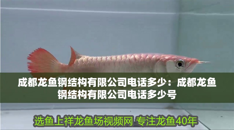 成都龍魚鋼結(jié)構(gòu)有限公司電話多少：成都龍魚鋼結(jié)構(gòu)有限公司電話多少號(hào)