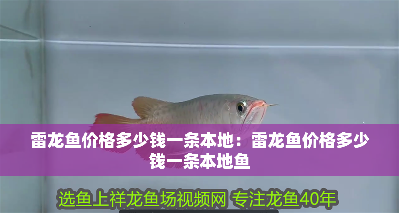 雷龍魚價(jià)格多少錢一條本地：雷龍魚價(jià)格多少錢一條本地魚
