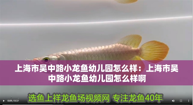 上海市吳中路小龍魚(yú)幼兒園怎么樣：上海市吳中路小龍魚(yú)幼兒園怎么樣啊