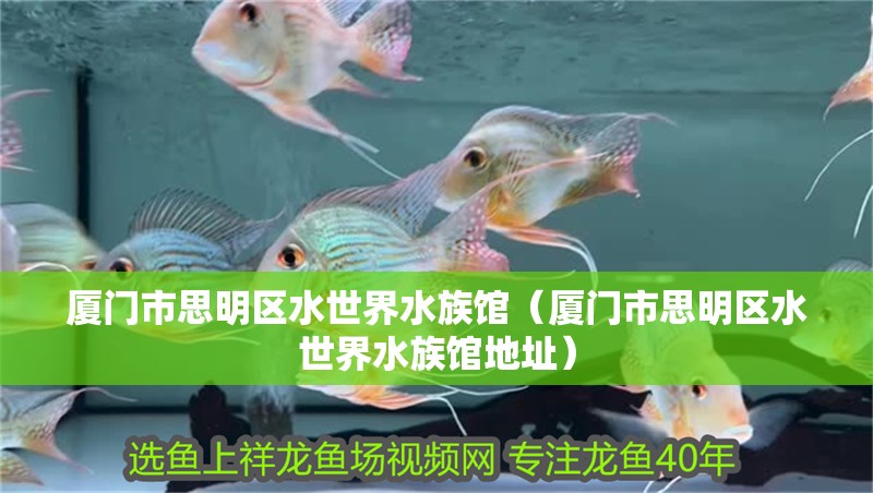 廈門市思明區水世界水族館（廈門市思明區水世界水族館地址） 廈門市思明區水世界水族館（廈門市思明區水世界水族館地址） 全國水族館企業名錄 第1張
