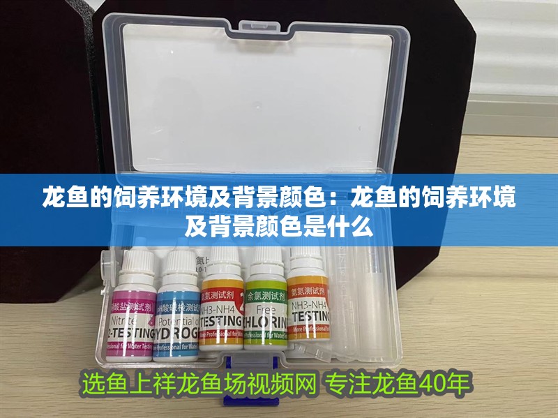 龍魚的飼養(yǎng)環(huán)境及背景顏色：龍魚的飼養(yǎng)環(huán)境及背景顏色是什么