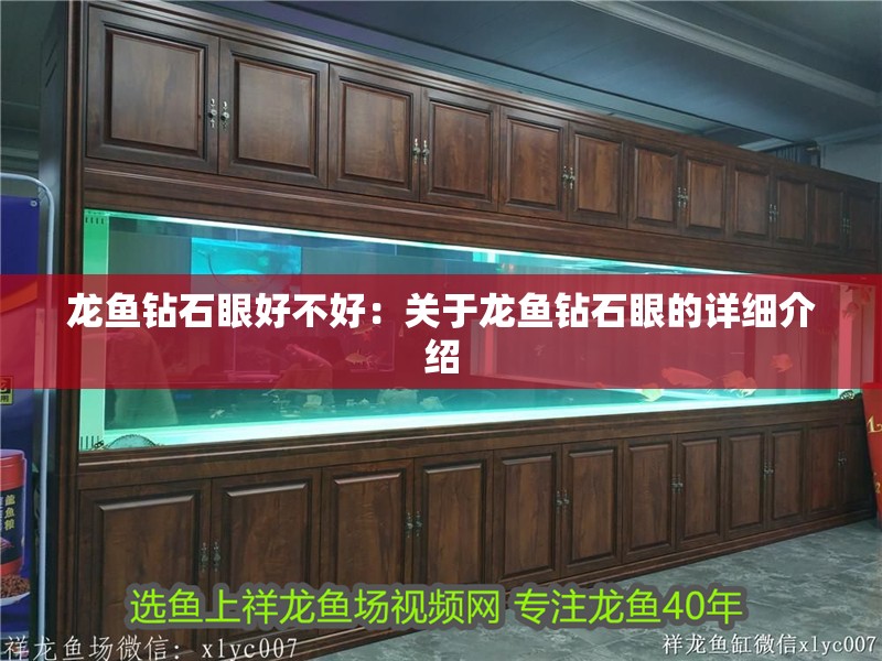 龍魚鉆石眼好不好：關于龍魚鉆石眼的詳細介紹