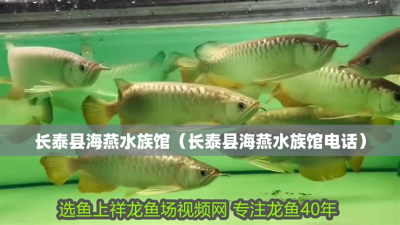 長泰縣海燕水族館（長泰縣海燕水族館電話） 長泰縣海燕水族館（長泰縣海燕水族館電話） 全國水族館企業名錄 第1張