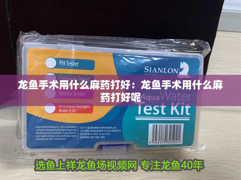 龍魚手術用什么麻藥打好：龍魚手術用什么麻藥打好呢